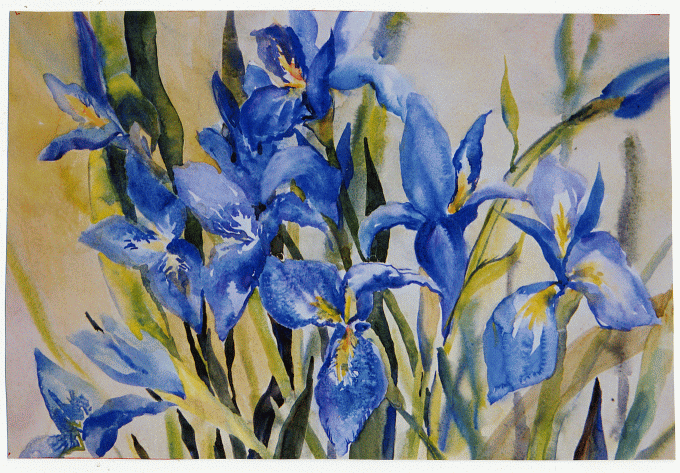 Watercolour of several blue flag irises.